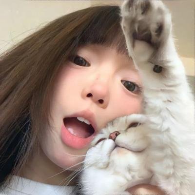 鳄之泪